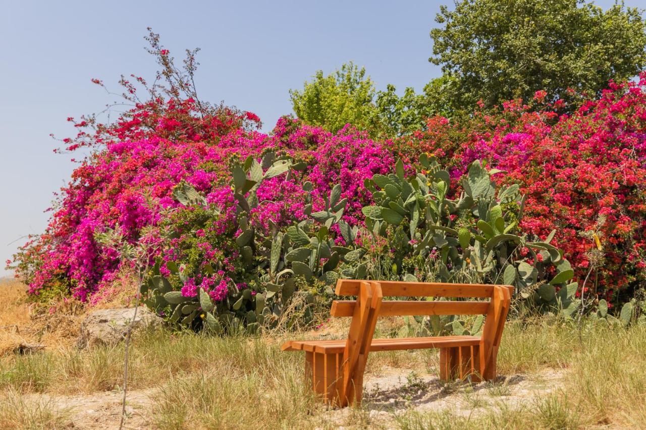 Tal Shahar Zimmers Dış mekan fotoğraf
